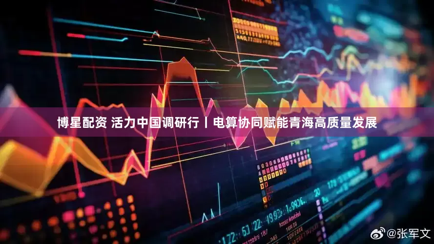 博星配资 活力中国调研行丨电算协同赋能青海高质量发展