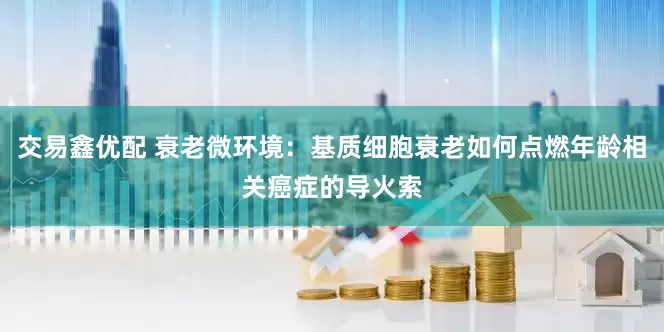 交易鑫优配 衰老微环境：基质细胞衰老如何点燃年龄相关癌症的导火索