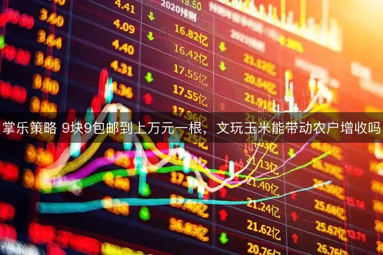 掌乐策略 9块9包邮到上万元一根,文玩玉米能带动农户增收吗
